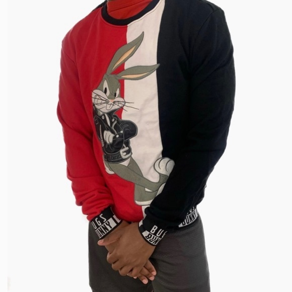 Warner Bros. Other - Looney Tunes color block logo sweatshirt hoodie size small